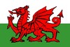 Picture for song 'I thank the lord i'm welsh' by artist 'Krazed Visionary'