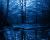 Picture for song 'Musical Icicles' by artist 'Lady Medallion'