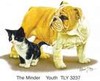 Picture for song 'Save The Kittens From The Bulldogs' by artist 'Larry Whitler'