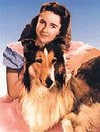 Picture for song 'Das fremde Mädchen Julia' by artist 'Lassies Rueckkehr'