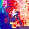 Picture for song 'Shreddlvedere Anthem' by artist 'LEGEND URU'
