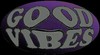 Picture for song 'Good Vibez (Screwed n Chopped)' by artist 'Lil Roi Boi'