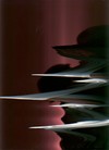 Picture for song 'Mystics Oceana' by artist 'lodemidiquail'