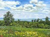 Picture for song 'Spring ~ Sunny Meadow' by artist 'Lord Skye'