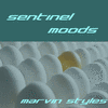 Picture for song 'Sentinel Moods (85 BPM)' by artist 'Marvin Styles'