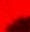 Picture for song 'pengiun bot' by artist 'MCTD'