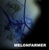 Picture for song 'Time' by artist 'melonfarmer (uk)'