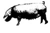 Picture for song 'Christlike' by artist 'MILKPIG'
