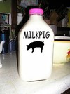 Picture for song 'Smegmadoll' by artist 'MILKPIG'