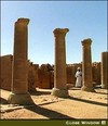 Picture for song 'Treck To Ruins' by artist 'Misted Reasoning'