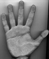 Picture for song 'Right Hand To God' by artist 'Moder8or'