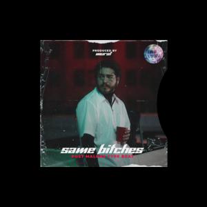 Picture for song 'Post Malone Type Beat - ''Same Bitches''' by artist 'Murat'