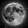 Picture for song 'Moonrise over Alamitos Bay, op. 2006.07.14.1' by artist 'Mutant Liberation Orchestra'