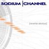 Picture for song 'Manhattan' by artist 'NaCH (Sodium Channel)'