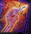 Picture for song 'NovaStyle - Novolution' by artist 'NovaStyle'