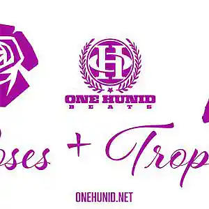Picture for song 'ROSES + TROPHIES' by artist 'OneHunid Beats'