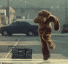 Picture for song 'yamaka' by artist 'Ostrich Daycare'