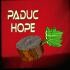 Picture for song 'Hope' by artist 'Paduc'