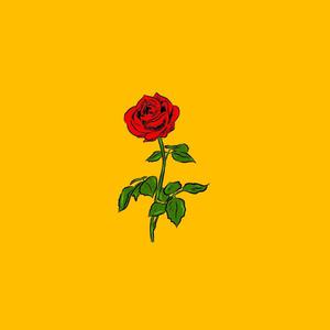 Picture for song '"Rose" - Anuel AA x Bad Bunny x Trap' by artist 'Paper Prod'