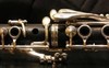 Picture for song 'Osborne: Rhapsody for Solo Clarinet' by artist 'Patricia Crispino'
