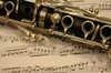 Picture for song 'Weber: Clarinet Quintet: I.' by artist 'Patricia Crispino'
