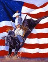Picture for song 'cowboy rides away' by artist 'Paul Taylor'