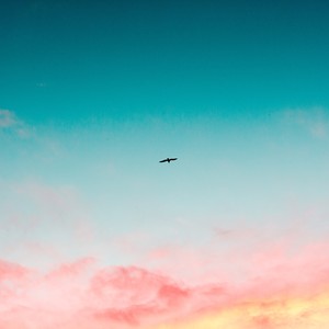 Song picture