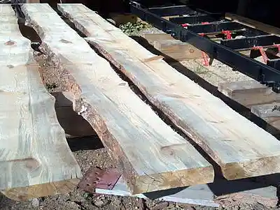 Picture for song 'Rough Cut' by artist 'Pete Moss and the Weed Wackers'