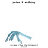 Picture for song 'Somebody Nobody Freak' by artist 'Peter X Anthony'