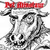 Picture for song 'I Can't Explain' by artist 'Pet Minotaur'