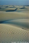 Picture for song 'Winds Of Time (first take)' by artist 'Praise His Ways'