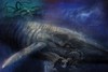 Picture for song 'The Leviathan' by artist 'PROD (instrumental)'