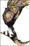 Picture for song 'Feeding Cannibals' by artist 'putty'
