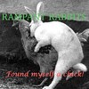 Picture for song 'Aussie Nature Anthem' by artist 'Rampant rabbits'