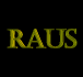 Picture for song 'life goes on II' by artist 'RAUS beats'