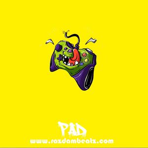 Picture for song 'PAD (BUY 1 GET 4 FREE)' by artist 'Razdam Beatz'