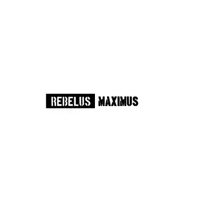 Picture for song 'What?!' by artist 'REBELUS MAXIMUS'