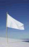 Picture for song 'white flags' by artist 'redshift experiment'