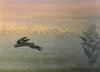 Picture for song 'Conejo' by artist 'Richard Durie'