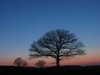 Picture for song 'Twilight' by artist 'Richard Mellor'