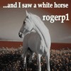 Picture for song '.....and I saw a white horse' by artist 'RogerPalmer'