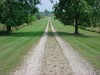 Picture for song 'Lonely' by artist 'Rough Intelligent Productions'