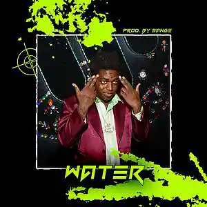 Picture for song 'Polo G x Toosii x Kodak Black Type Beat-Water' by artist 'sange beats'