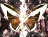 Picture for song 'Farewell' by artist 'Sans Edge'
