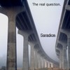 Picture for song 'The real question' by artist 'SaRadICE'