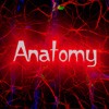 Picture for song 'Anatomy' by artist 'Schmange'
