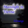 Picture for song 'Vienna (Moonlight in)' by artist 'Schmange'