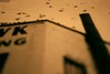 Picture for song '(B-Side) The Soft Order 6.12.06' by artist 'Serplitude'