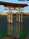 Picture for song 'Letting It Go' by artist 'Sine Language'