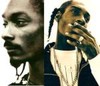Picture for song 'SNOOP DOGG WOULD DO DA WEST COAST GOOD WIT DIS' by artist 'Six South Productions'